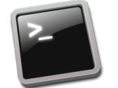 Bash script for FTP file